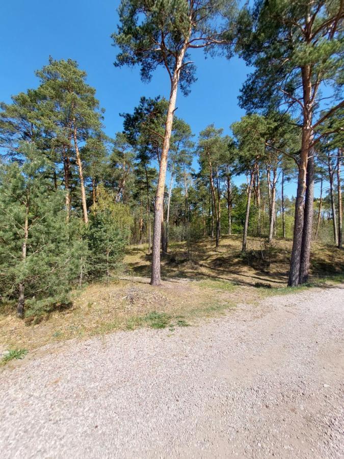 Pokoje Goscinne Zacisze Jantar Esterno foto